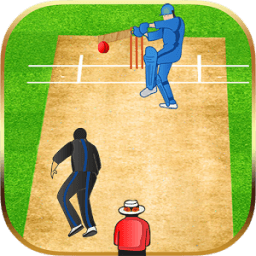 ikon Super Over Cricket