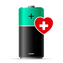 ikon Repair Battery Life