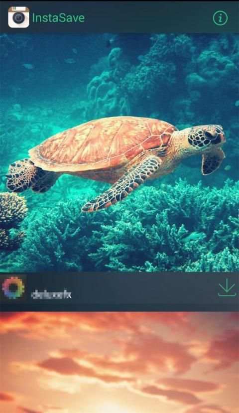 InstaSave - Instagram Download screenshot 2