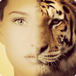 Insta Face with Collage icon