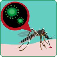 Zika Virus News & Alert