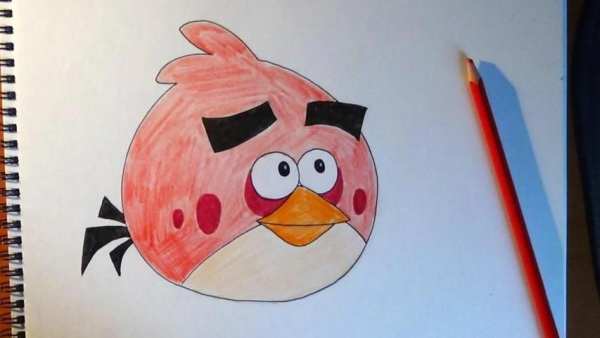 How to draw Birds Angry स्क्रीनशॉट 3