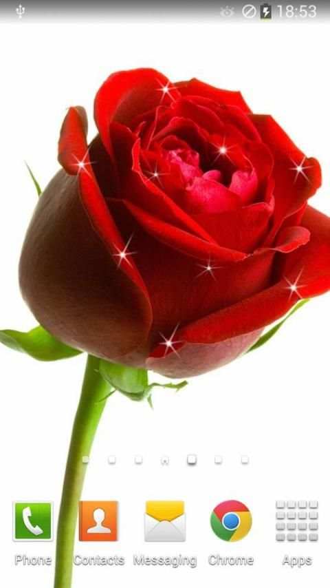 Rose Live Wallpaper screenshot 4