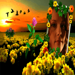 Photo In Flower Frames icon