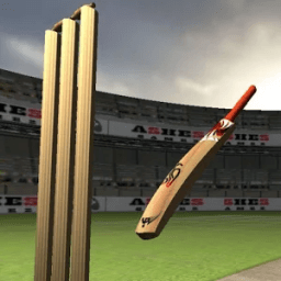 True Cricket 2015 иконка