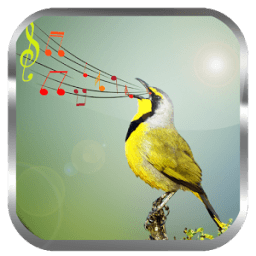 Birds Sounds Ringtones иконка