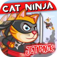 Ninja Cat Jet обновления