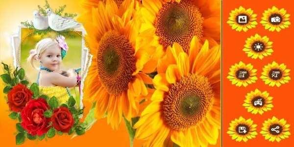Flower Photo Frame 5 تصوير الشاشة