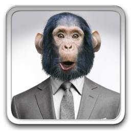 Animal Face Photo Maker 1.2