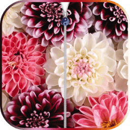 Flowers Zipper Screen Lock иконка
