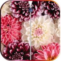 Flowers Zipper Screen Lock
