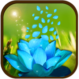 ikon 3D Flower Petal Wallpaper