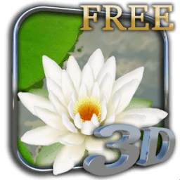 3D Lotus Live Wallpaper Free