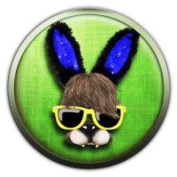 Funny Face Changer Pro 1.0