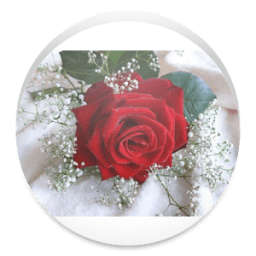 اجمل الورود 1 icon