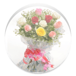 بانورما الورد 2 أيقونة