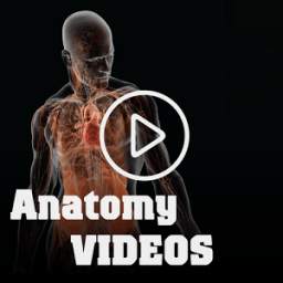 Anatomy Videos