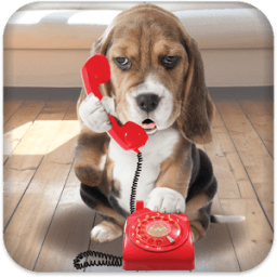 Puppy Call आइकन