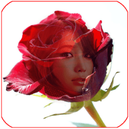 red rose frame transparent أيقونة