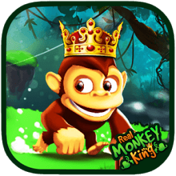 Real Monkey king icon