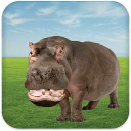 Talking Hippo 2.0