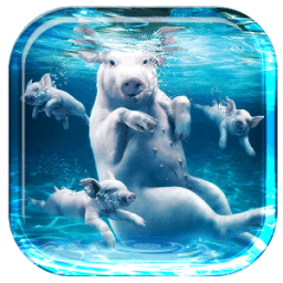 ikon Animals Underwater Wallpaper