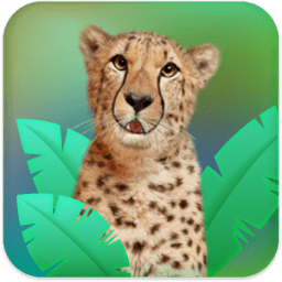 Real Talking Cheetah иконка