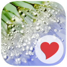 ikon 3 Pics 1 Key Word: Part II