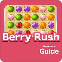 Guide Berry Rush 1.0