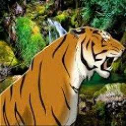 Angry Tiger Magic Touch icon