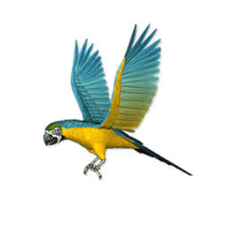 Birds LiveWallpaper иконка