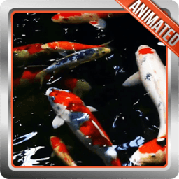 Koi Fish Live Wallpaper आइकन