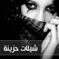 شيلات حزينة هادئة - بدون نت on 9Apps