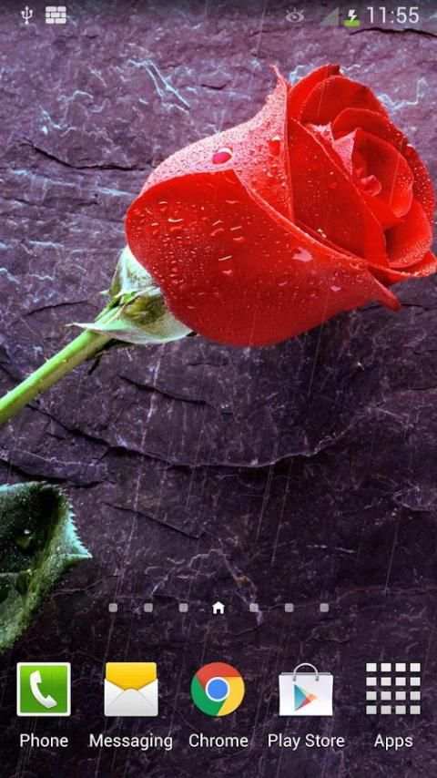 Mưa Rose Live Wallpaper screenshot 5