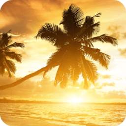 Sunset Beach Live Wallpaper 1.1