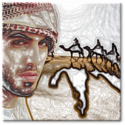 شيلات متنوعة برو icon