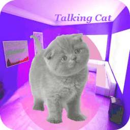 Talking Cat icon