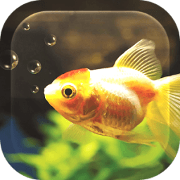 Fish Aquarium Live Wallpaper icon