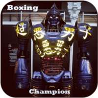 Boxing Real Robotic Steel