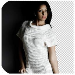 auto photo background changer 1.0