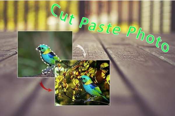 Cut Paste Photo Editor 7 تصوير الشاشة