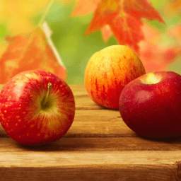 Fall Apples Live Wallpaper 1.1