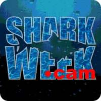 Shark Week