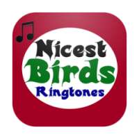 птицы мелодии on 9Apps