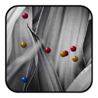 M5 Live Wallpaper on 9Apps