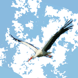 Sounds of birds icon