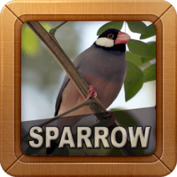 ikon Kicau Burung Gelatik