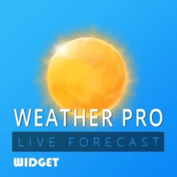 ikon Weather Pro Live Widget