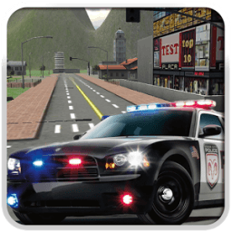 Police Car Driver 3D иконка