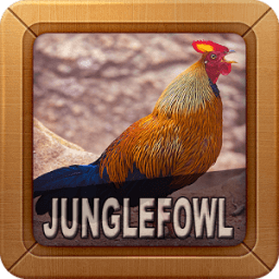 ikon Suara Ayam Bekisar